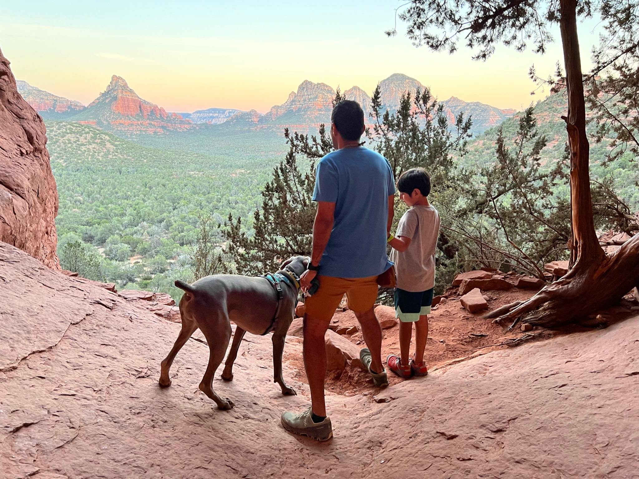 Man, boy and dog standing on red rock cave with a beautiful scenary in front. Huge valley of desert shrubs and trees with rugged red rocky hills on the horizon.