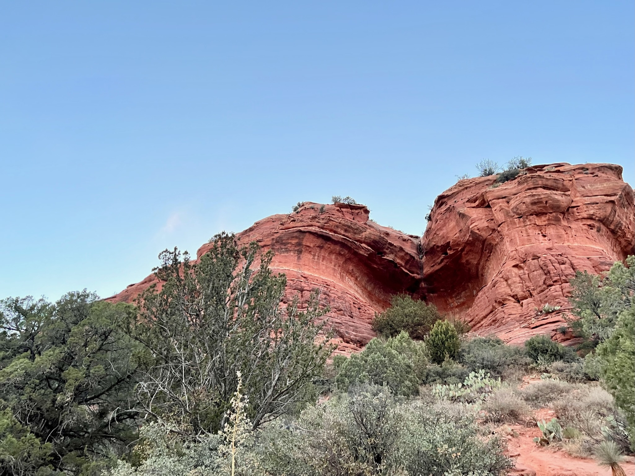 Red rocky hills with green trees and shurbs.