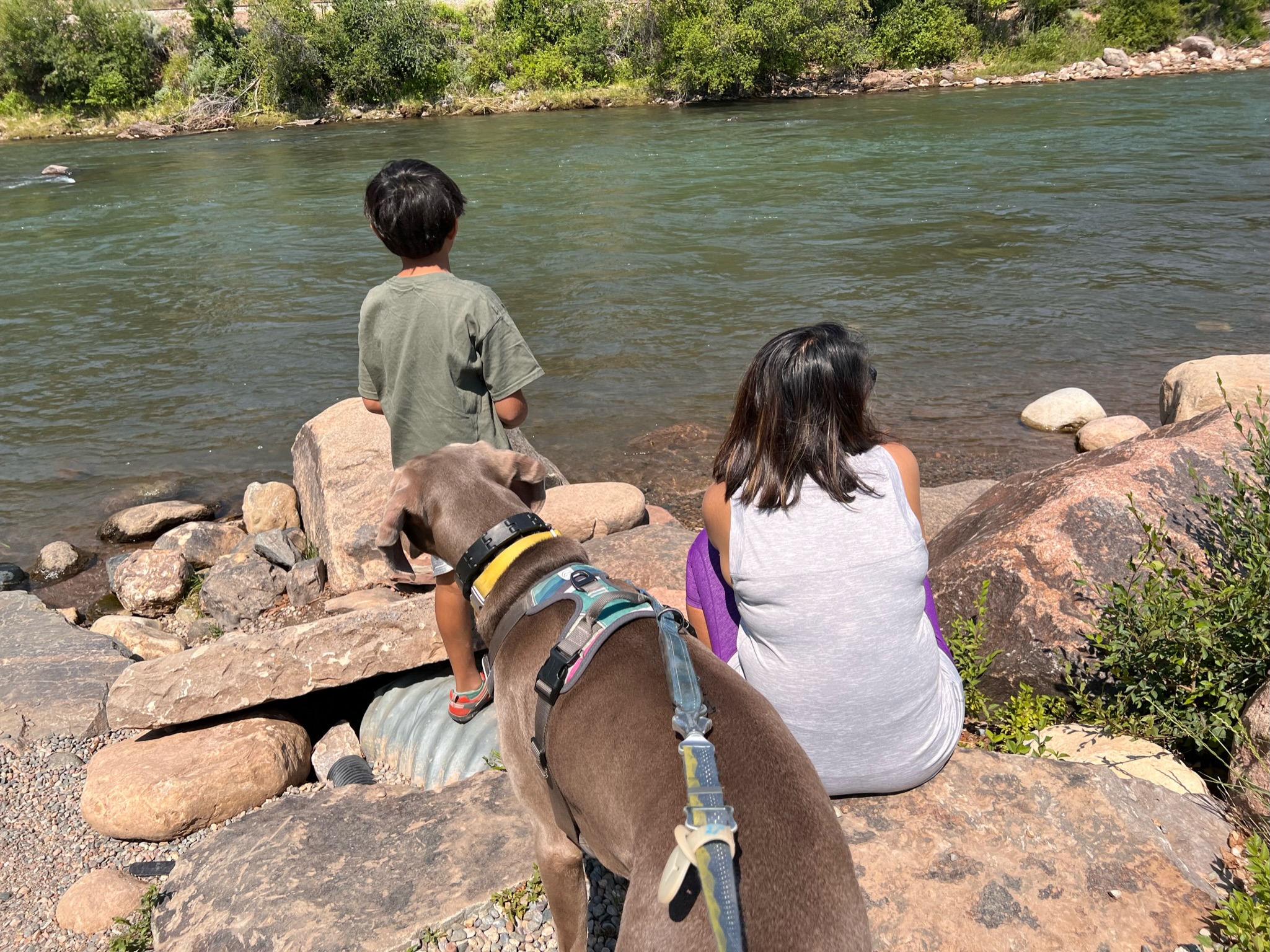 Dog, woman and boy standing on big river rocks looking at a flowing river with trees and shrubs on the other side of the river.