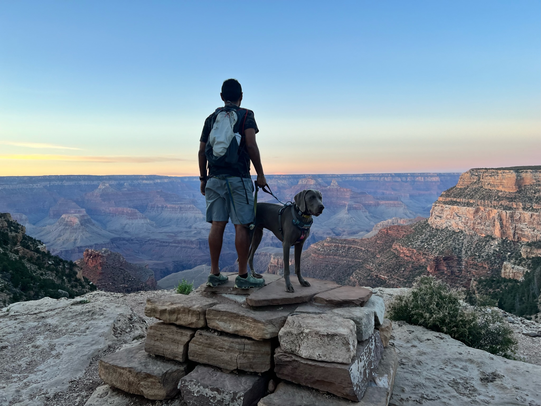 Man and dog on a pile of rock slabs look at the Grand canyon view with red, orange, beige and gray canyon walls.