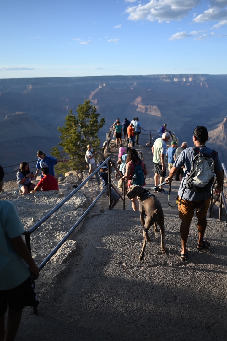 Man and dog hiking down a path of stairs to a viewpoint at The Grand Canyon.