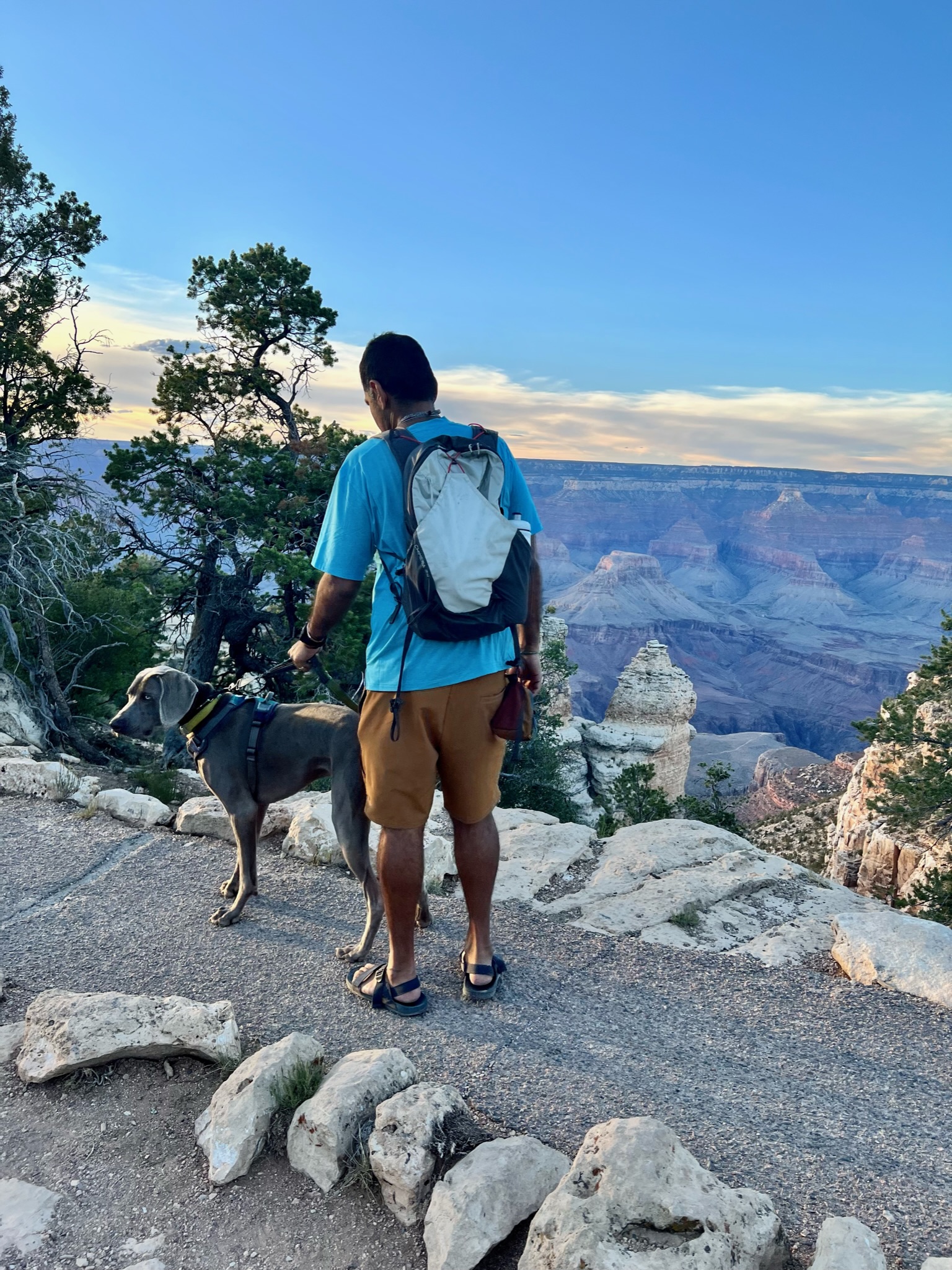 Dog and man walking on a paved path on the rim of the Grand Canyon looking at it's wonderful vistas