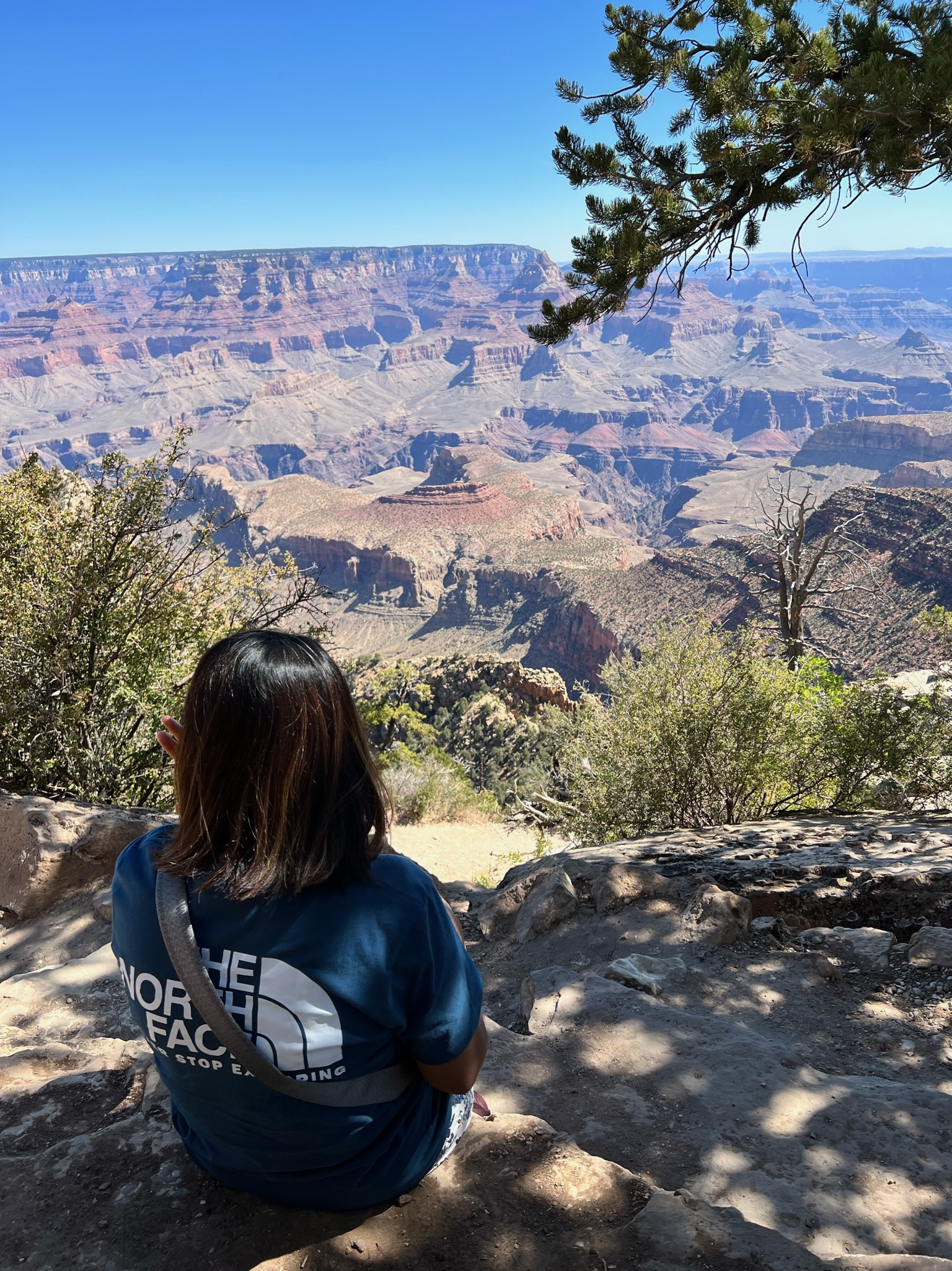 Woman looking at the view on the South Rim of The Grand Canyon.