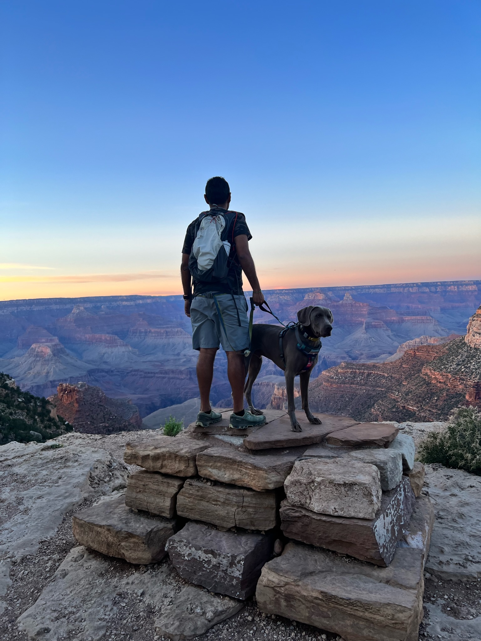 Man and dog standing on top of a pile of rocks looking at the view of The Grand Canyon.