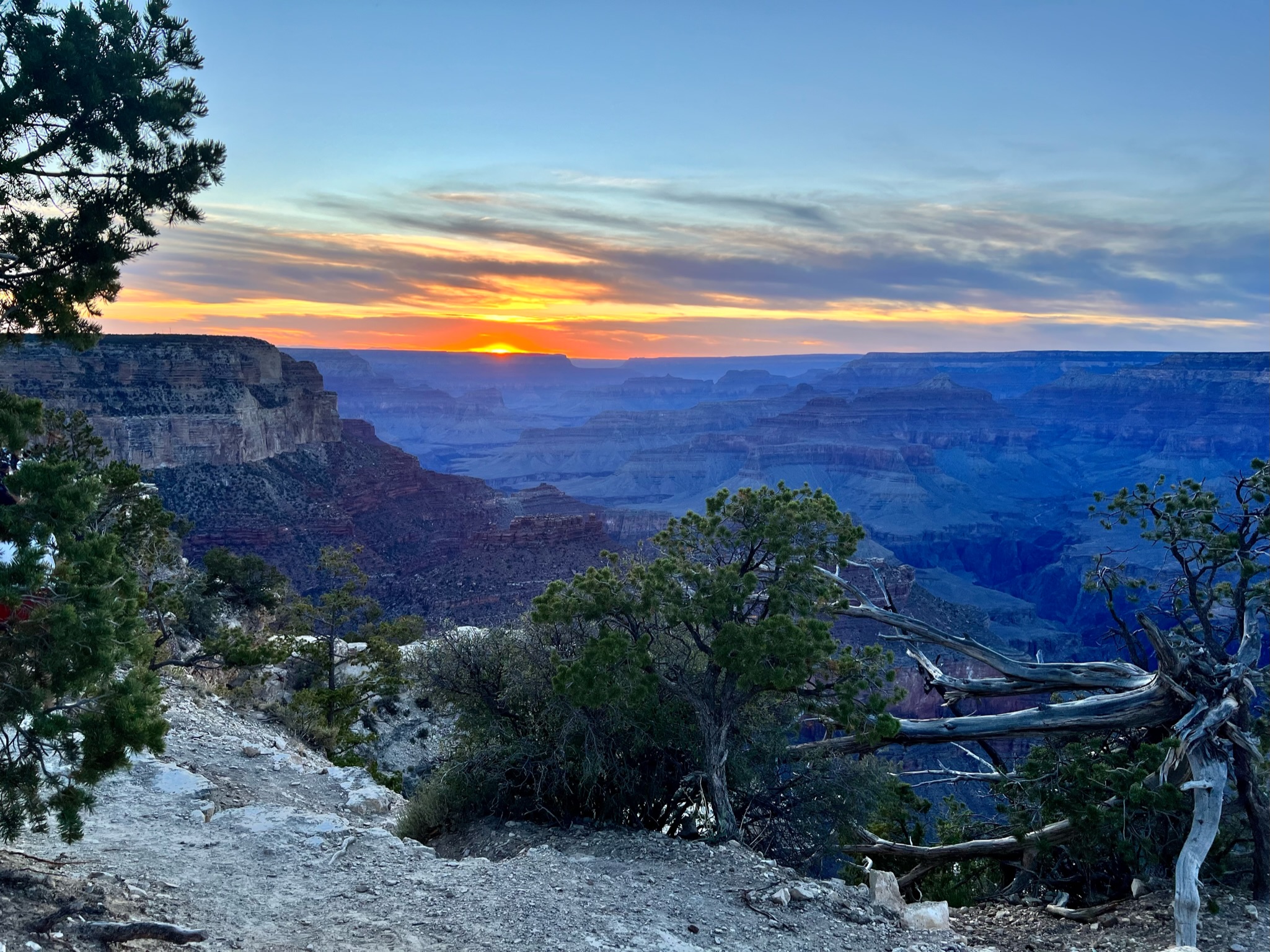 Grand canyon sunset view with reddish and beige canyon walls, with foreground containing short pine trees