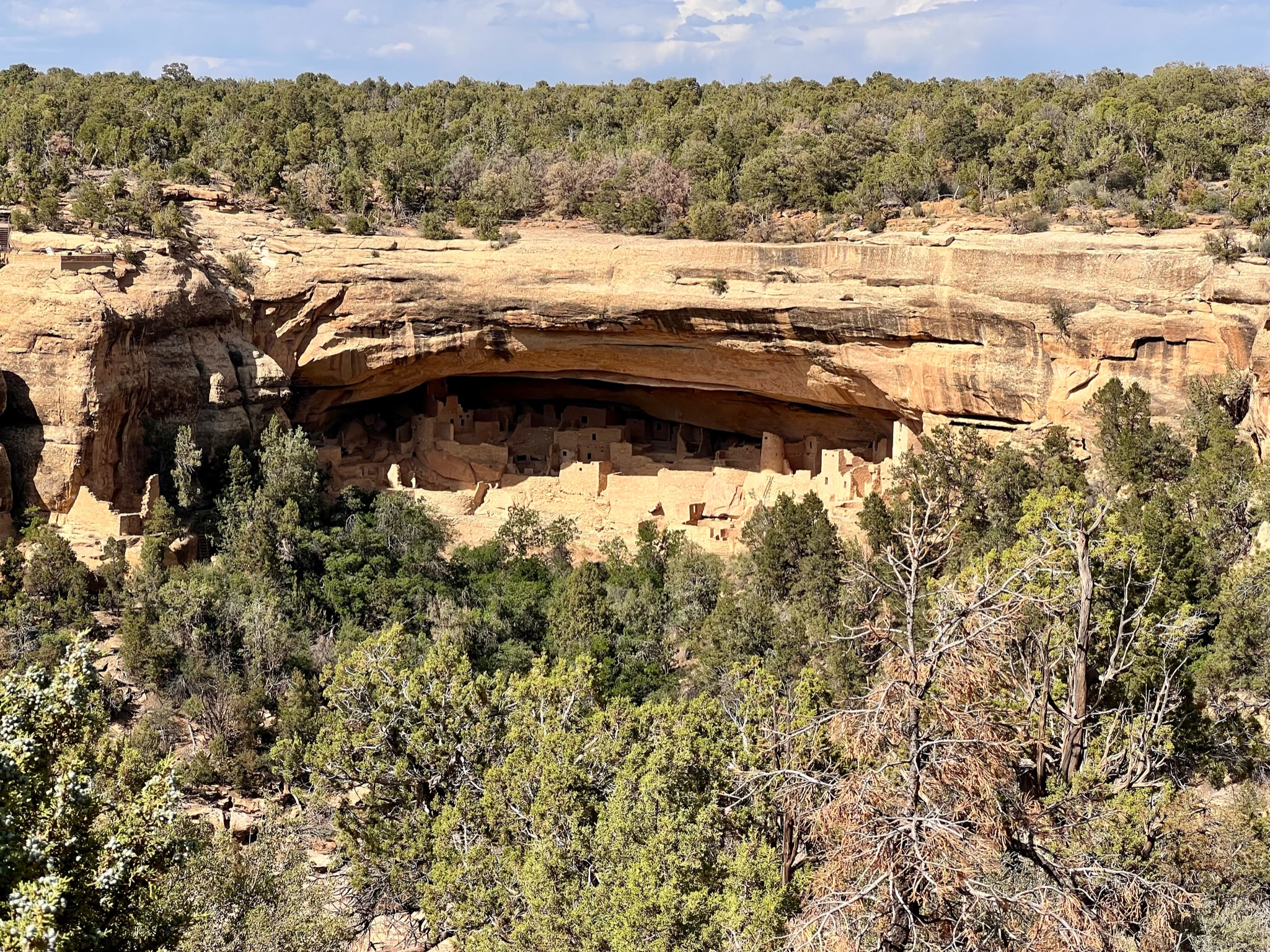 Canyon wall with cave underneath containing cave dwellings, with green trees and shrubs on top