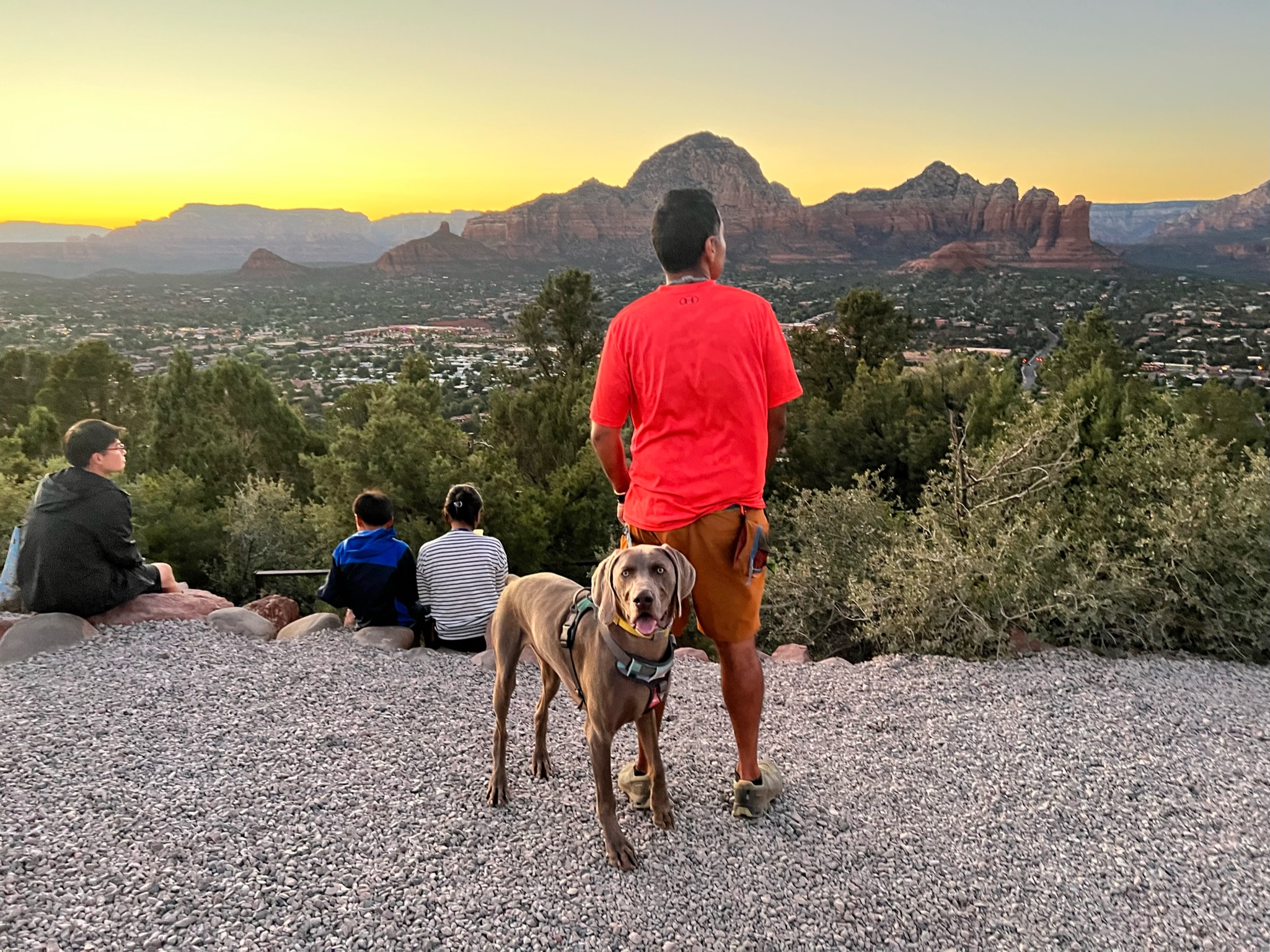 Grey dog looking at camera with man in red shirt looking at red canyon peaks and greeen shrubs all around, standing on crushed gravel ground