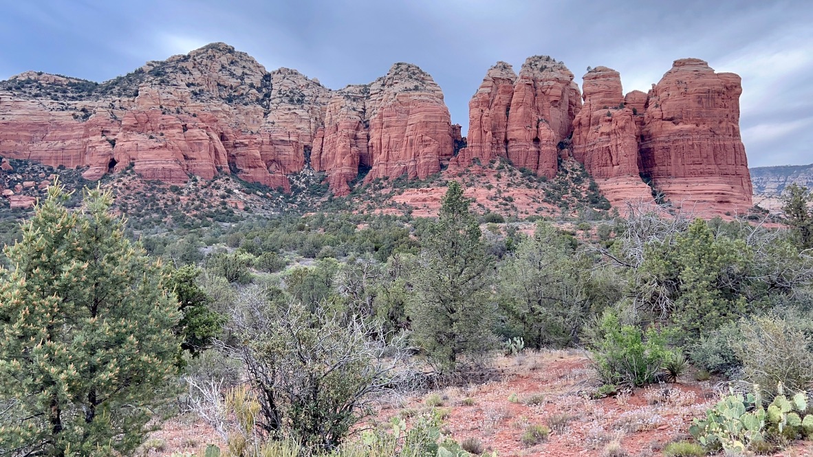 Red rock peaks and spire like formations with short trees and other desert vegetation growing in the foreground.