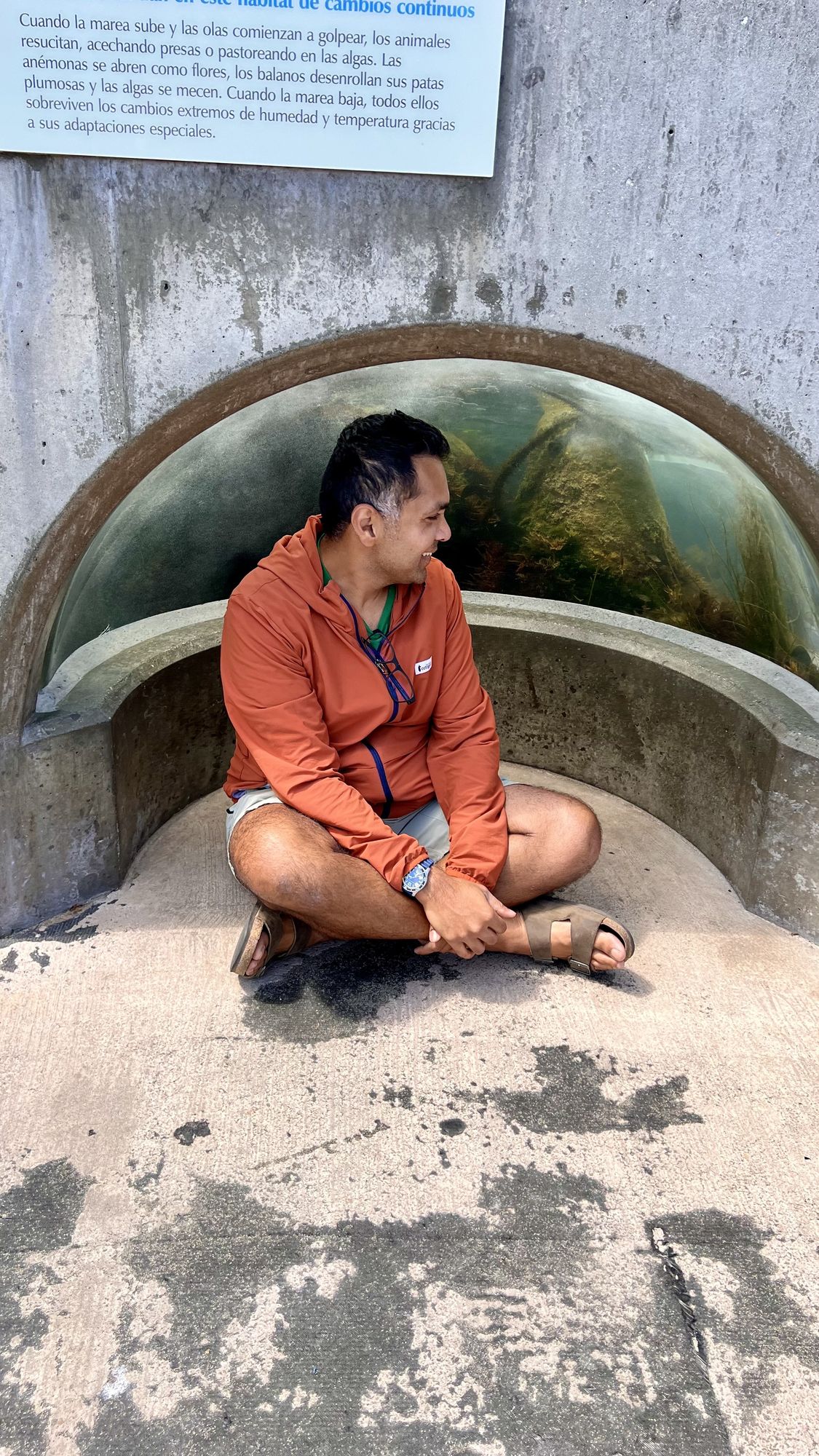 Our son's dad sitting cross-legged in a cave-like nook in the aquarium wall, looking up at a tank window above him.