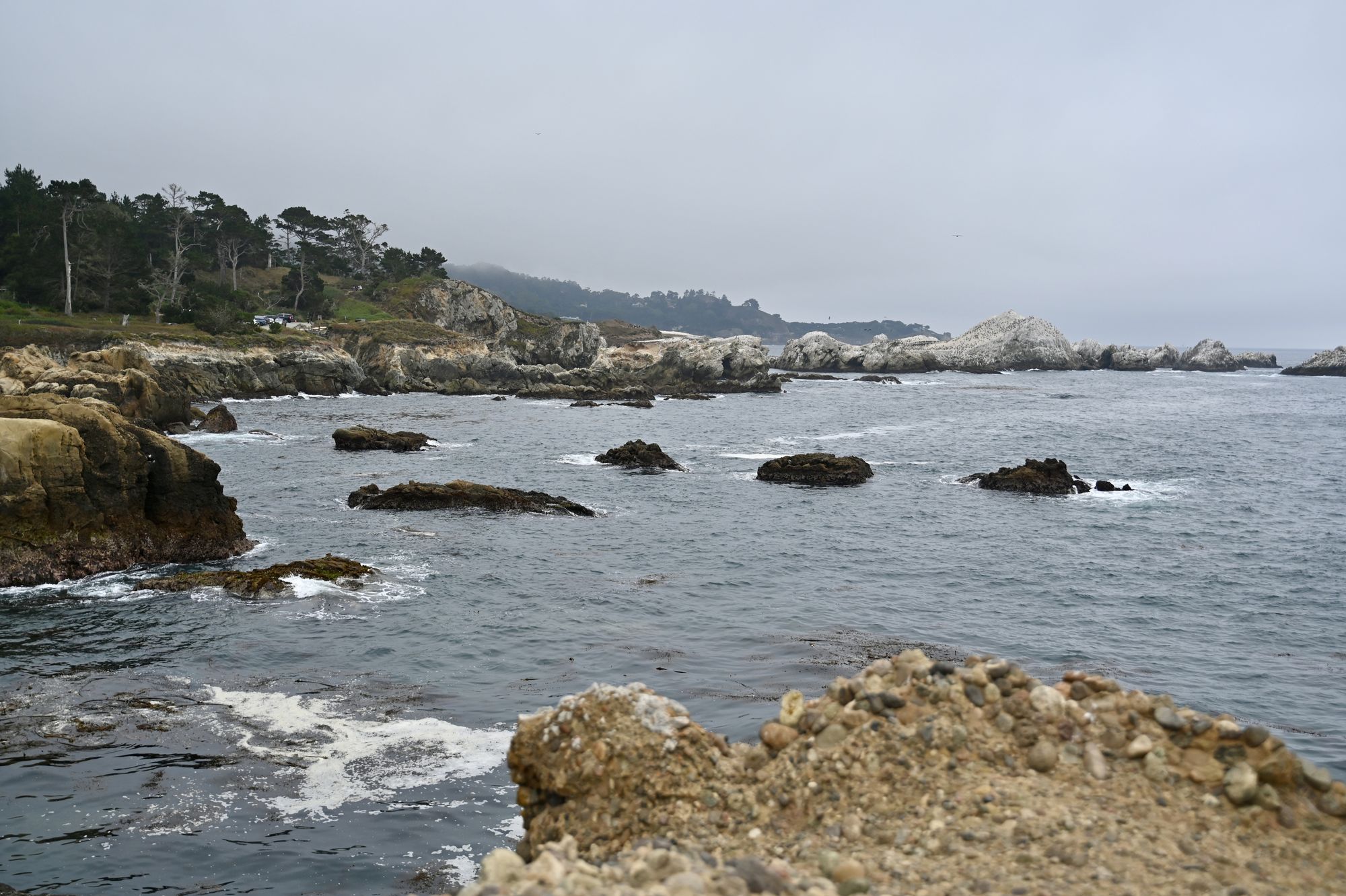 Grey ocean with scattered dark rocks along the Point Lobos shoreline under an overcast sky.