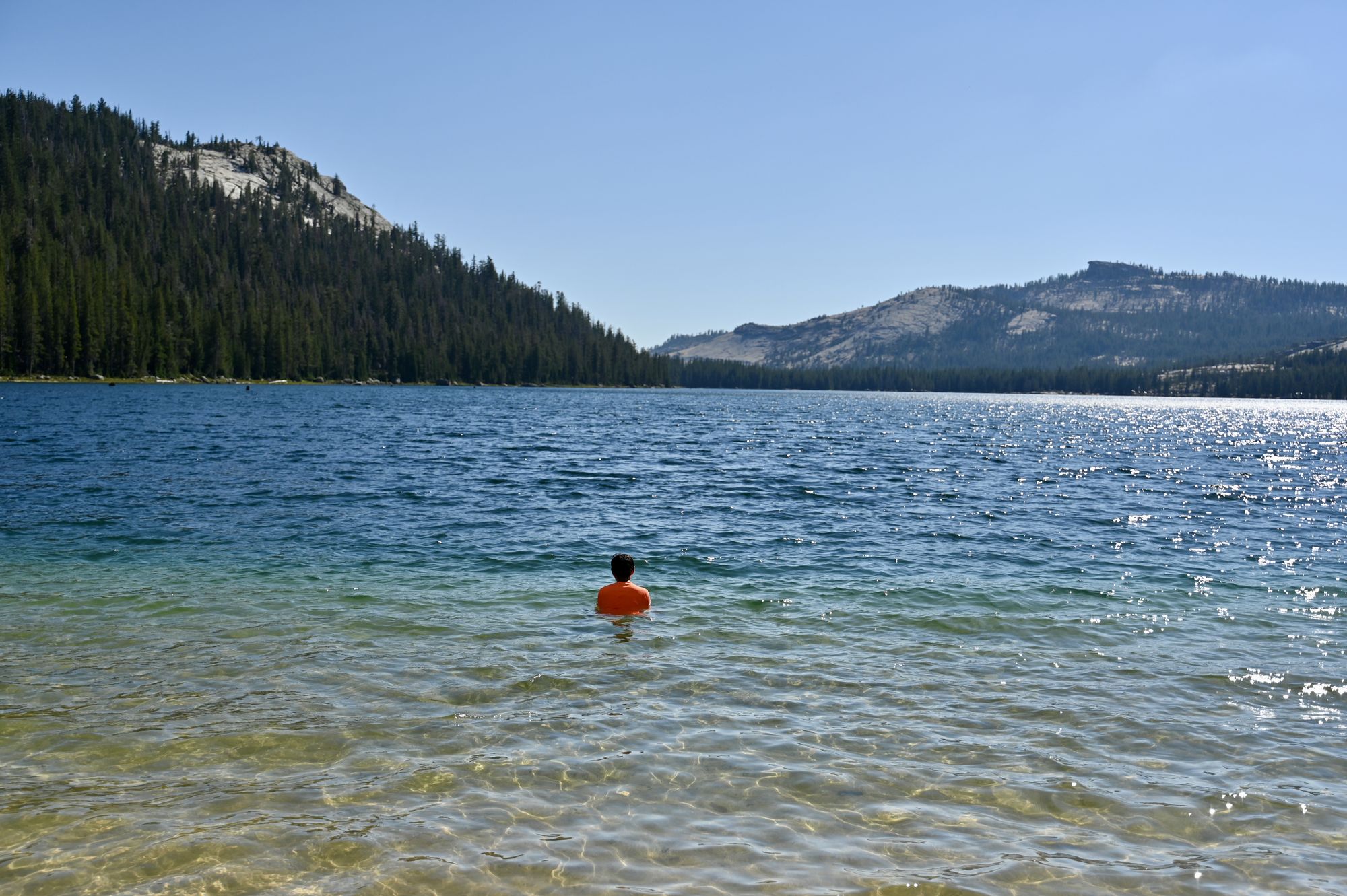Our son swimming in the clear blue water of Tenaya Lake, with forested hills behind.