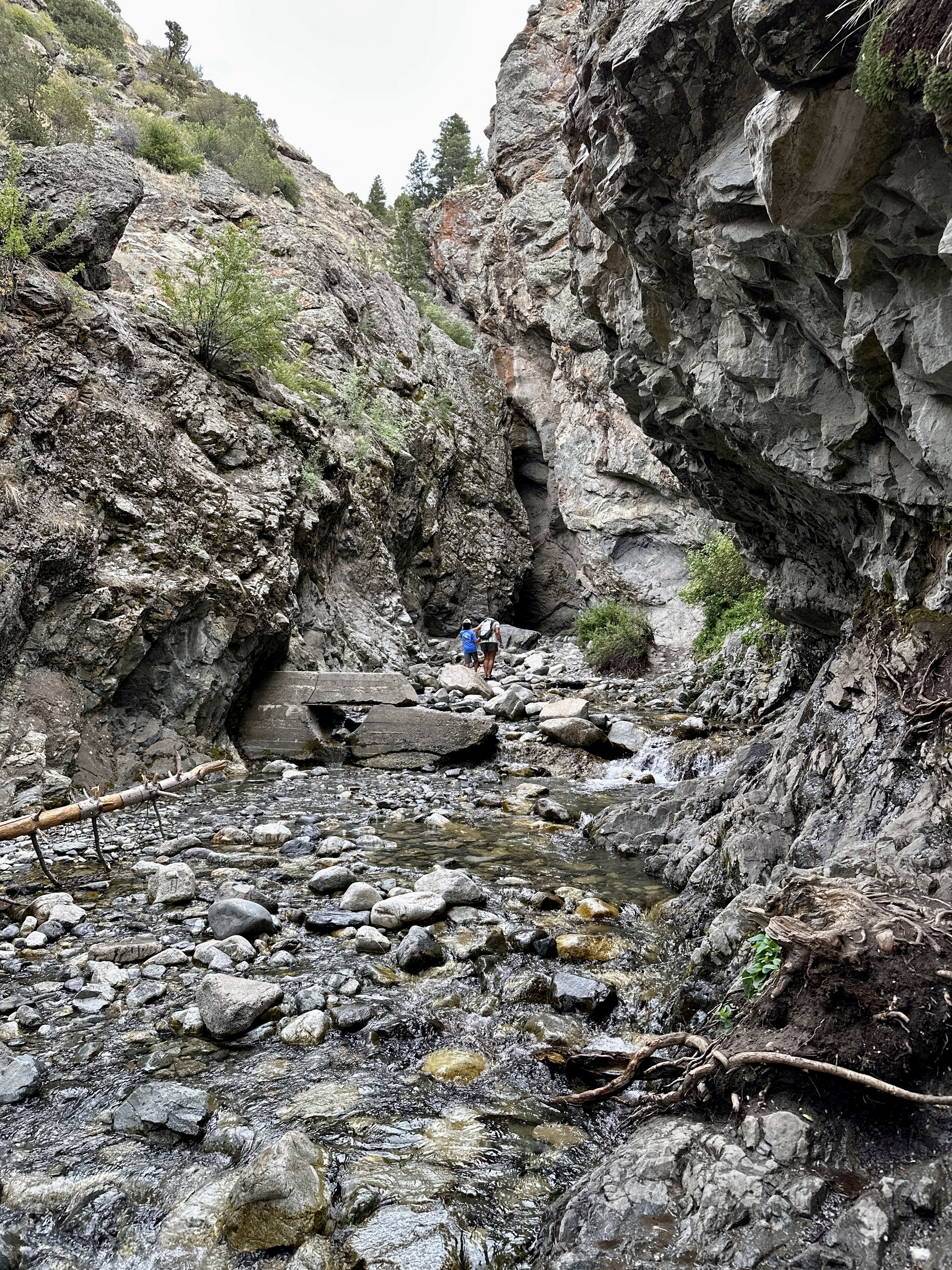 Creek near Zapata falls