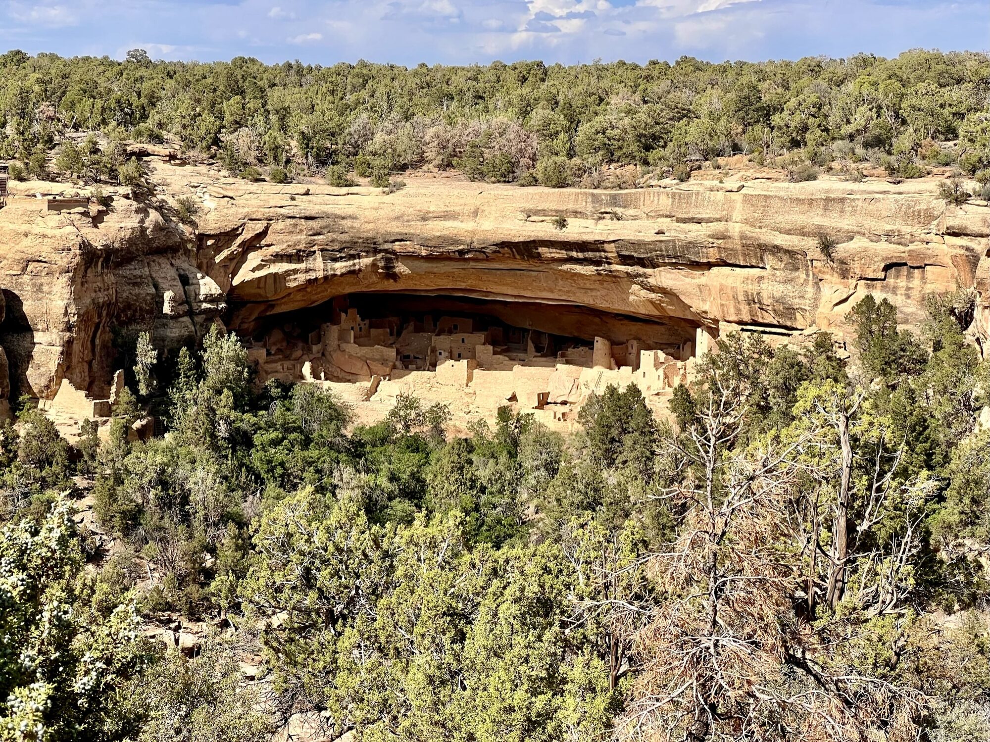 Ancient stone dwellings tucked under a sandstone cliff overhang above a forested canyon