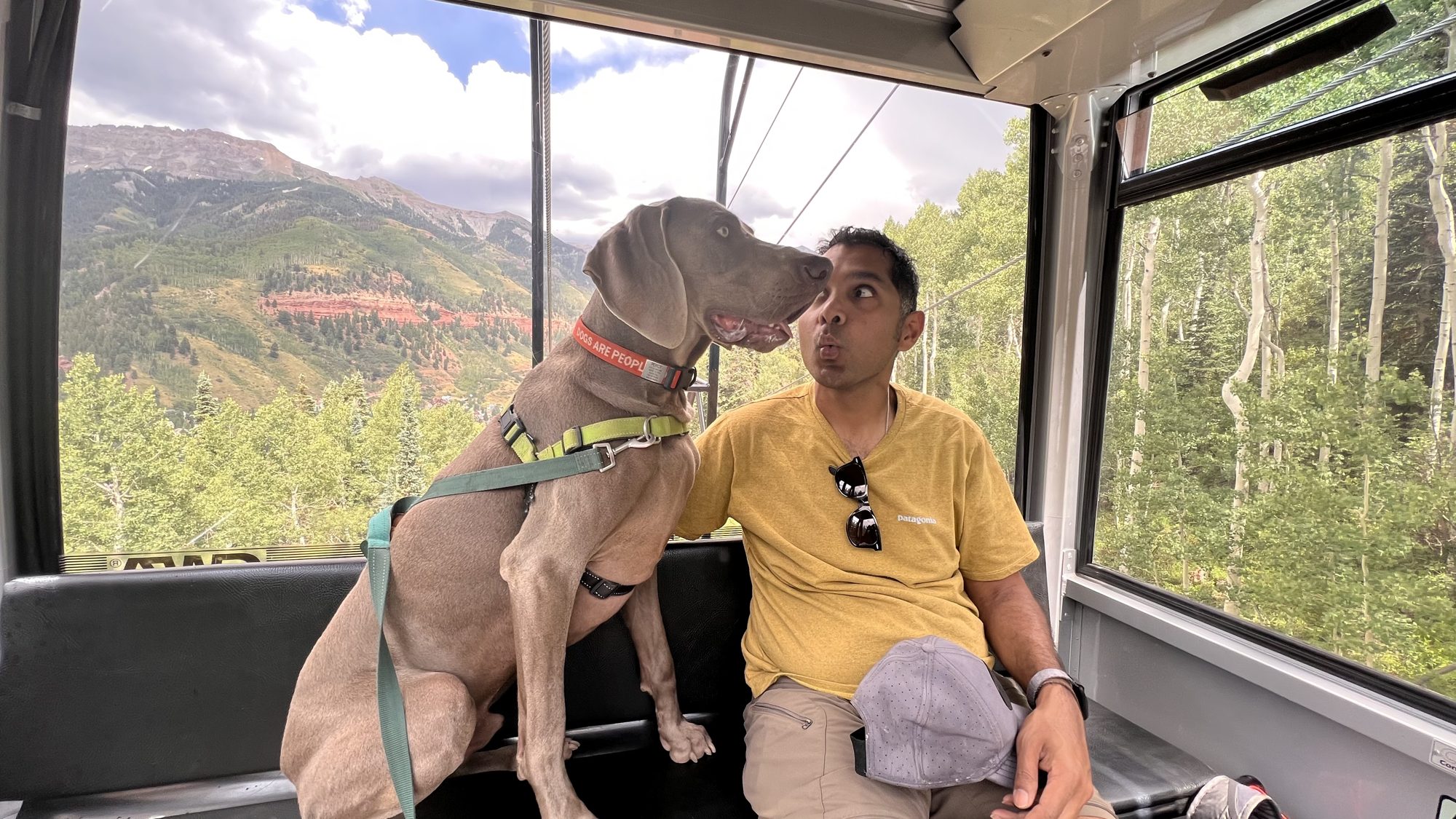 Man and dog sitting together in a Telluride gondola cabin, with mountains outside the windows