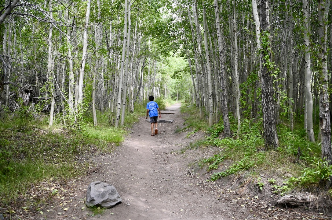 Walking through the Montville Nature Trail