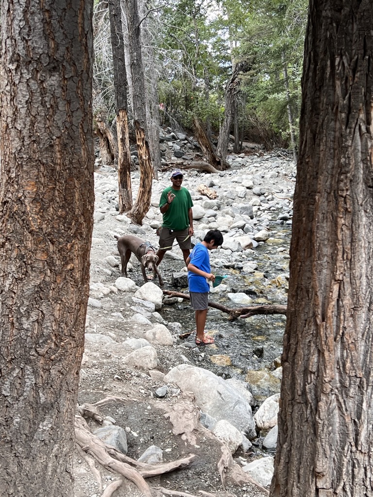 Man, dog and boy in the river creek of Zapata falls