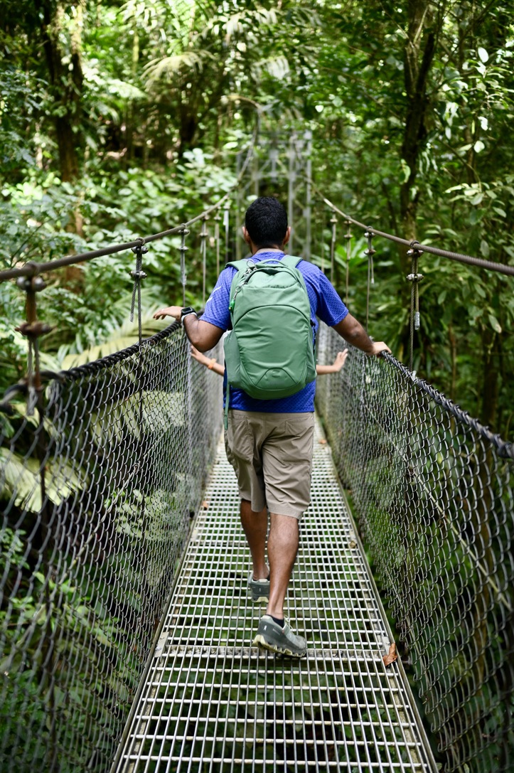 Cloud forest walk on hanging bridges.