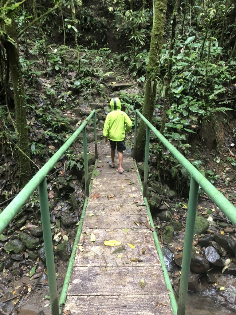 A boy in a rain jacket crossing a narrow wooden bridge in the rainforest