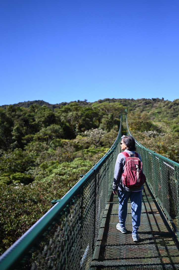 Walking on the hanging bridges above the cloud forest.