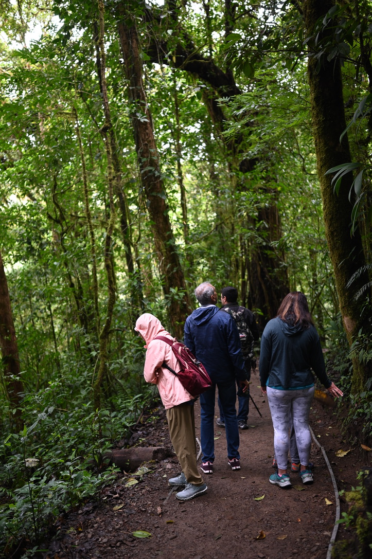 Walking along the Monteverde cloud forest trail.