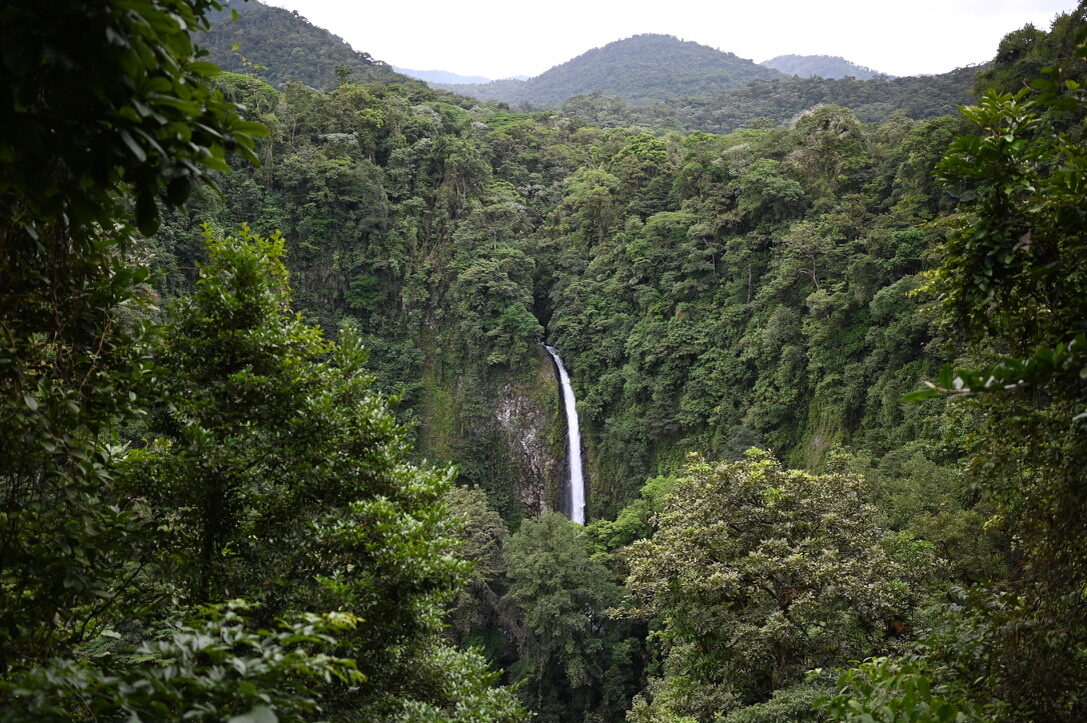 The thin white La Fortuna Waterfall dropping into a deep green rainforest gorge