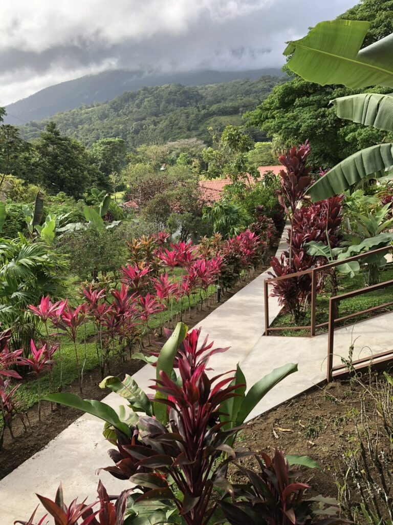 A path through red and green tropical plants, with misty hills beyond