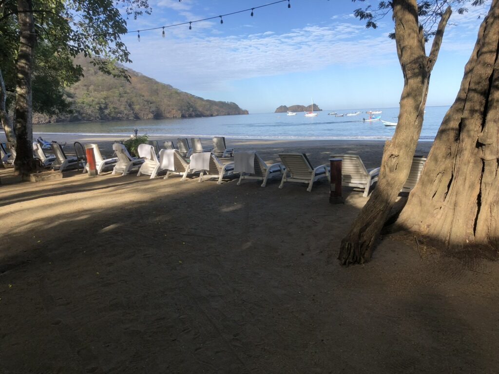 Lounge chairs under trees on the beach in the morning light