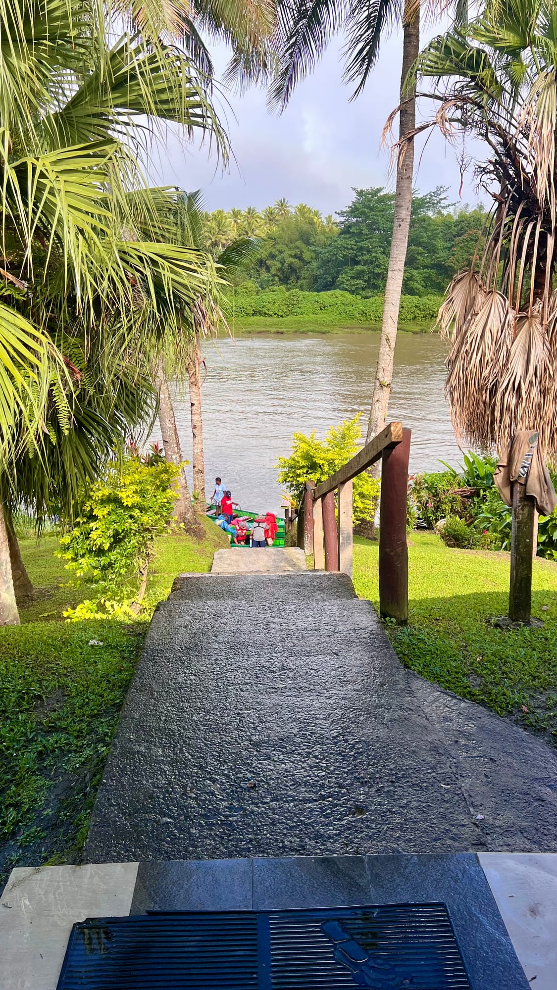 A paved path leading down a green lawn between palm trees to the brown Navua River, where people are gathering at the boats.