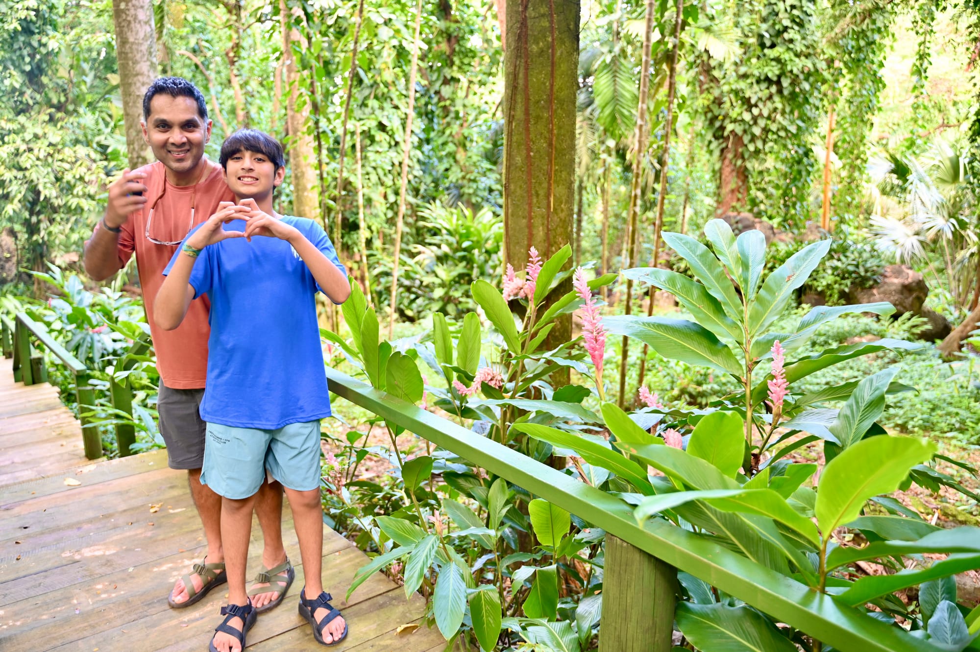 Our son and his dad making heart shapes with their hands on a wooden boardwalk, surrounded by tall rainforest trees and pink ginger flowers.