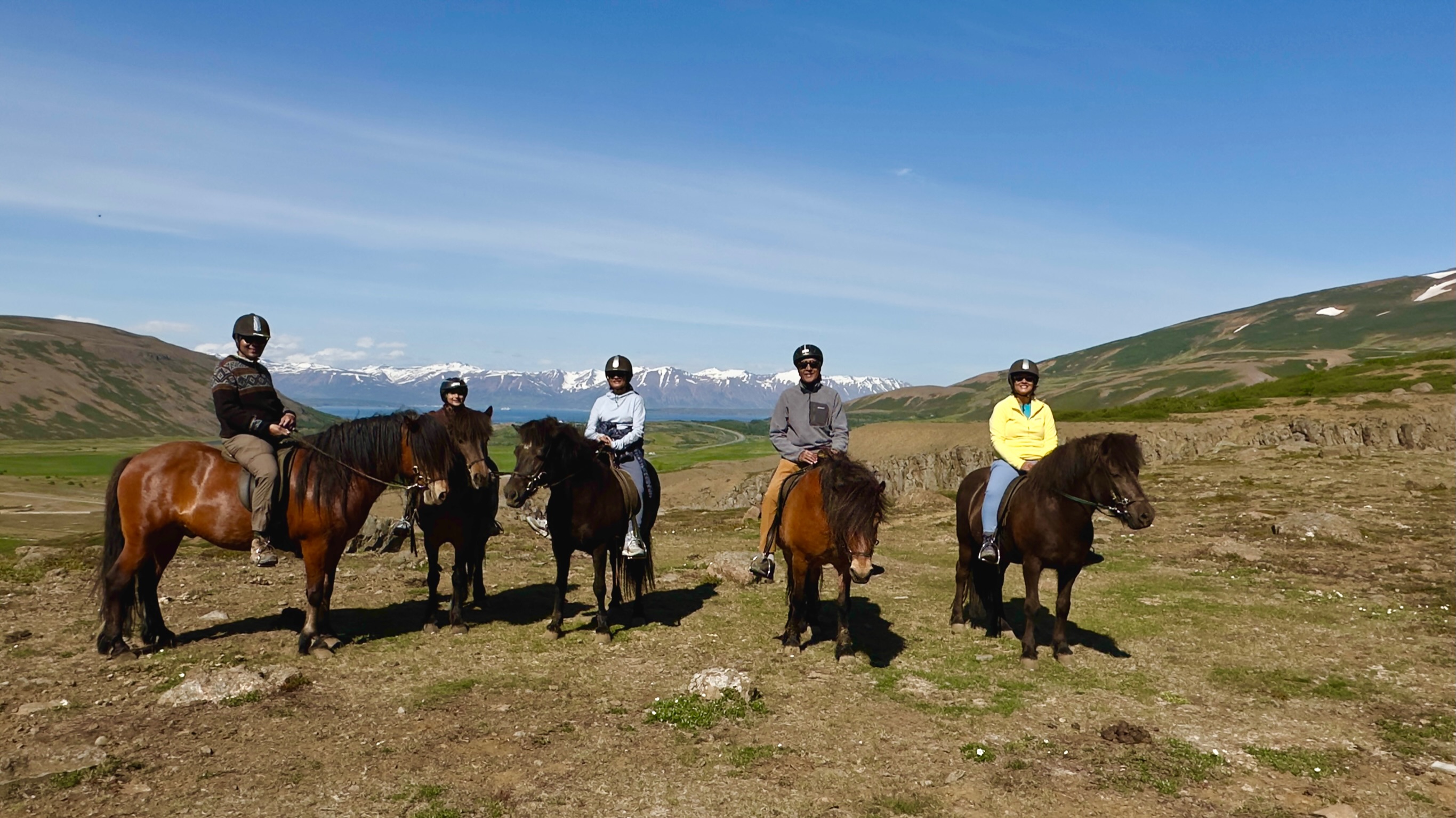 Horse riding tour with Polar Hestar