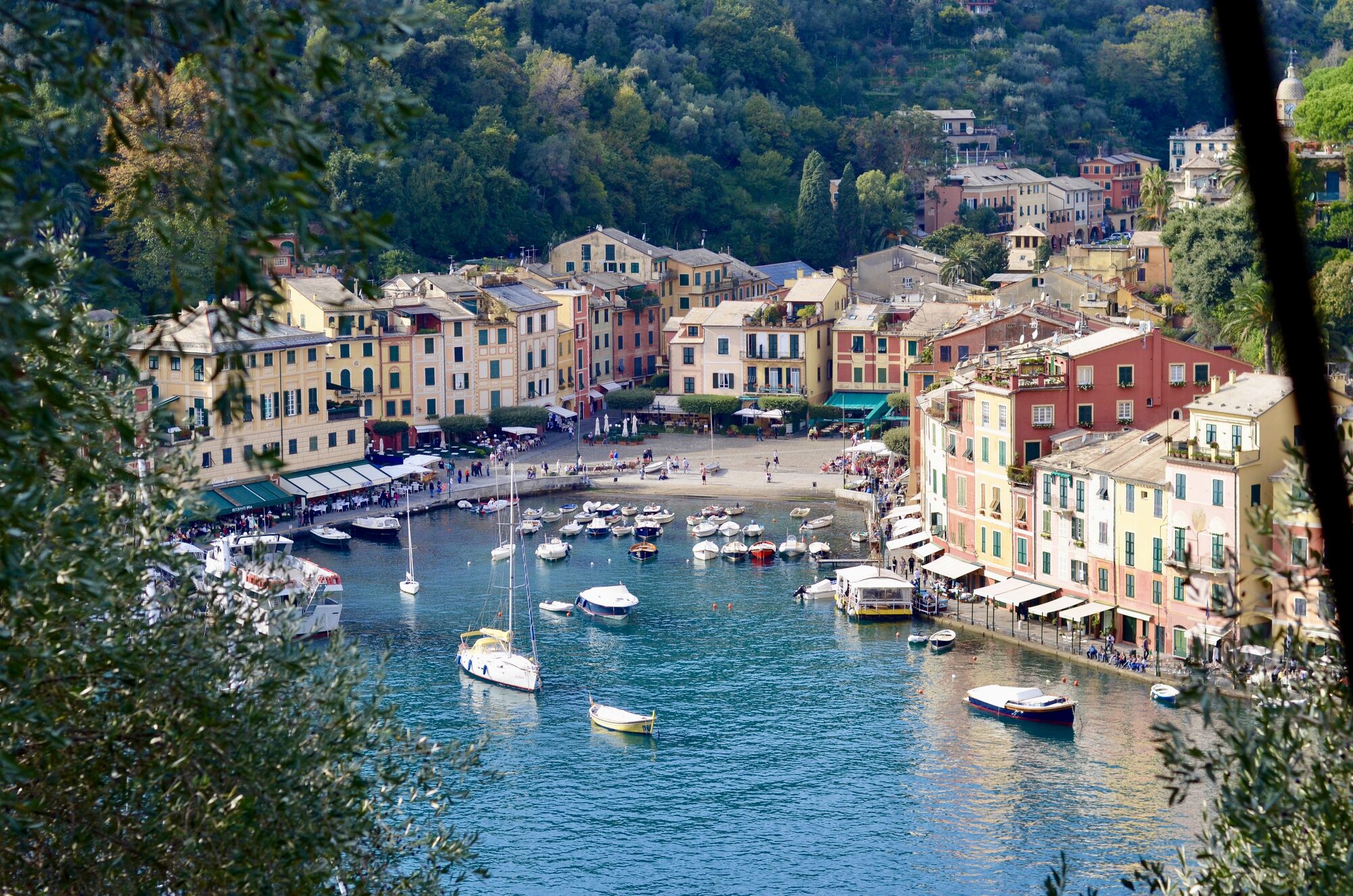 Portofino’s colorful harbor and boats seen from the hillside