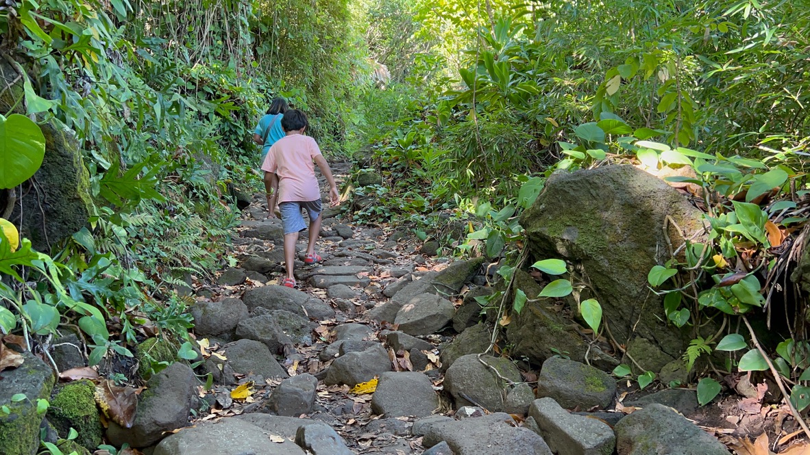 Boy walking up a rocky rugged trail surrounded by lush tropical jungle