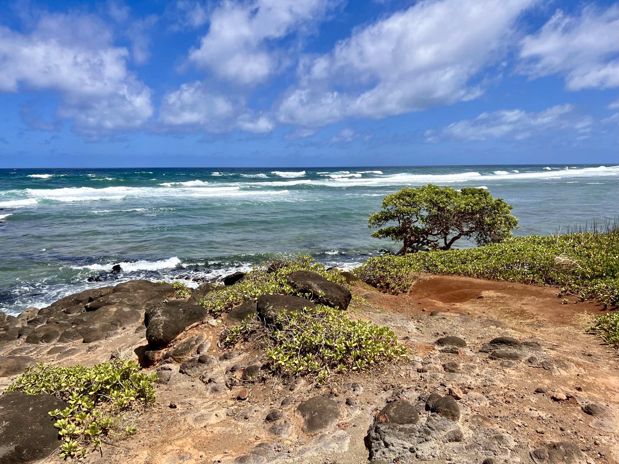 Blue ocean waves near shore with rocky terrain and shrubs