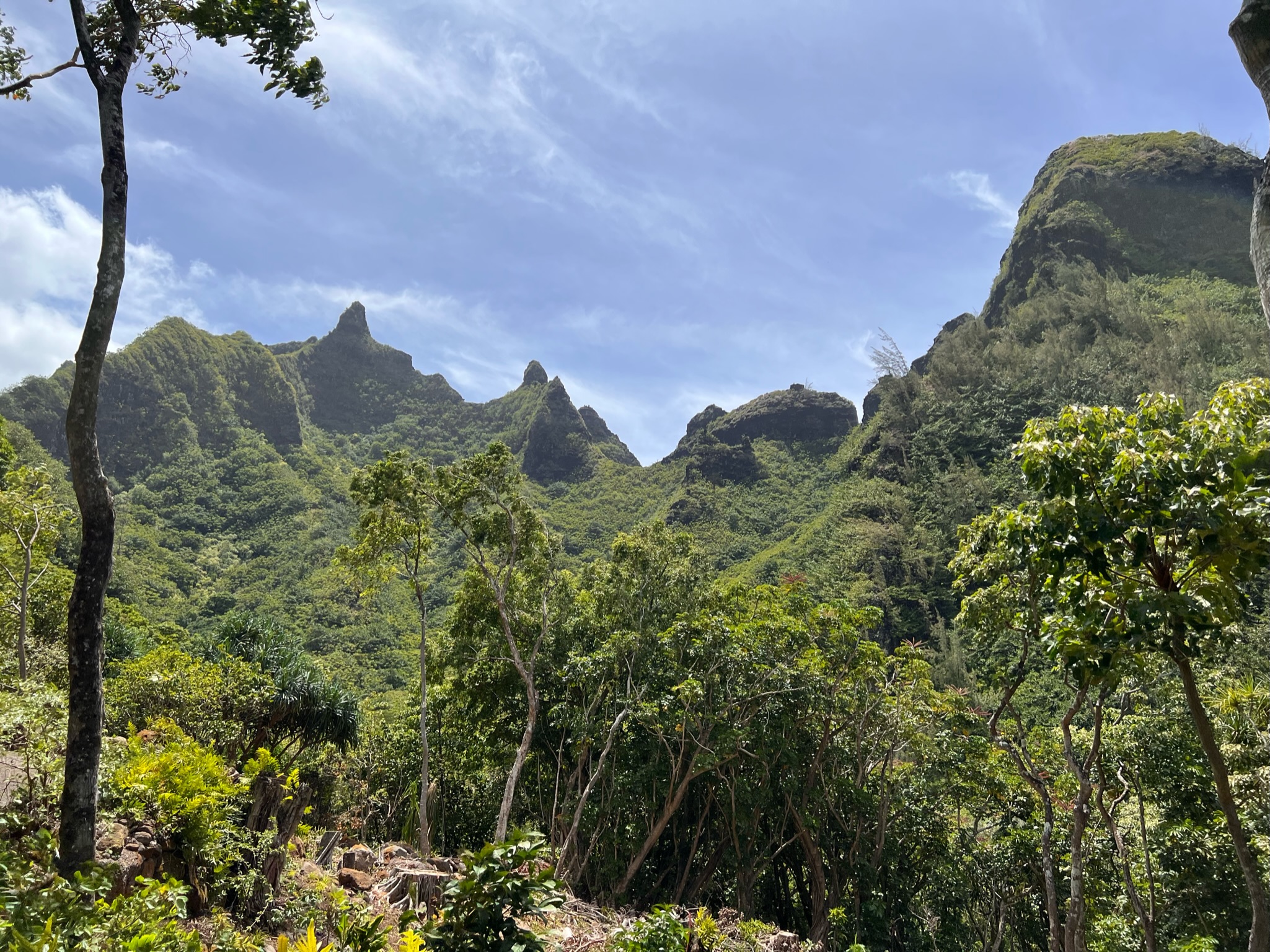 Rugged green mountains and lush tropical jungle