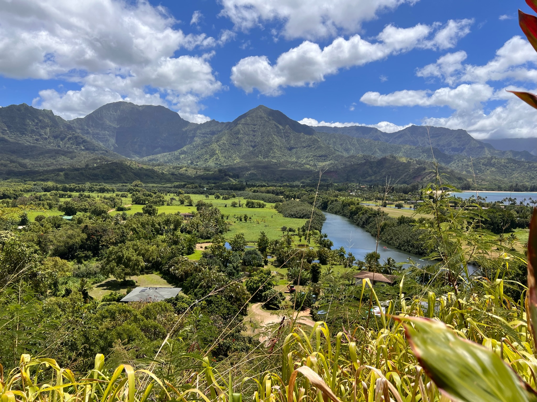 Green mountains, bay, river flowing, lush jungle and fields