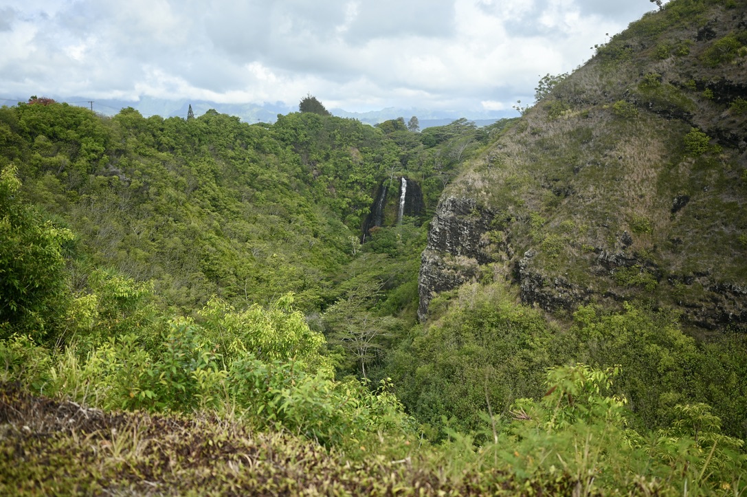 Lush tropical forests over hills with waterfall in the distance