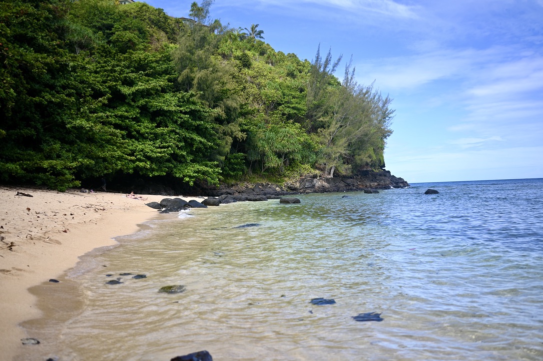 Turquoise colored waters with brown sand beach and lush tropical jungle behind