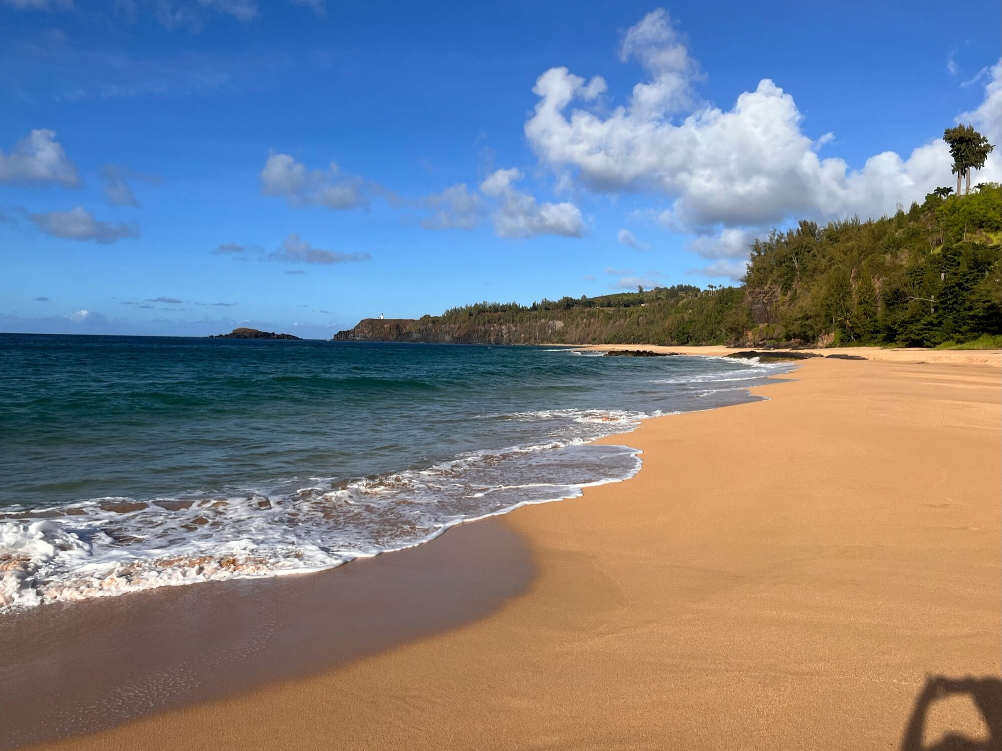 Long golden sand beach with breaking waves and a green headland