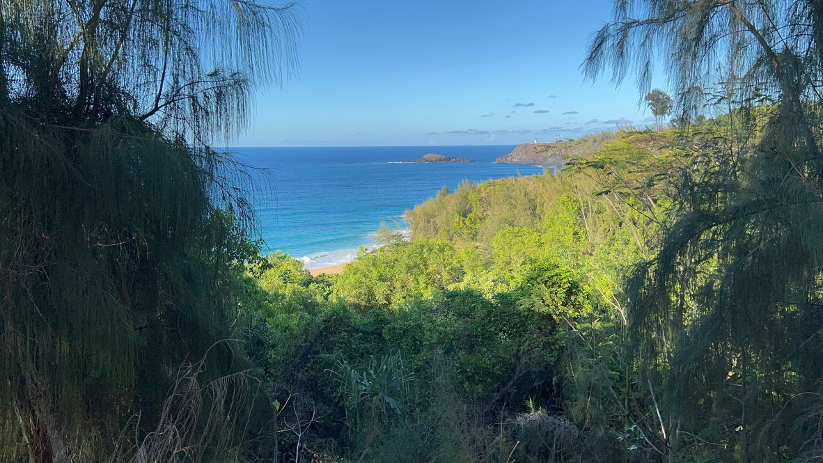 Beautiful coastline and beach, from a higher elevation surrounded by tropical coastal trees and shrubs, near the Kilauea town