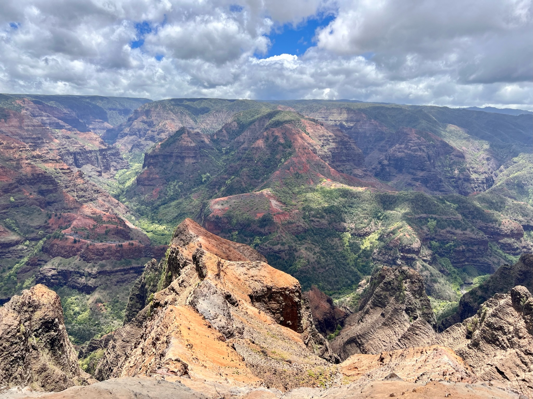 Light and shadows on beautiful red canyons with green trees and shrubs