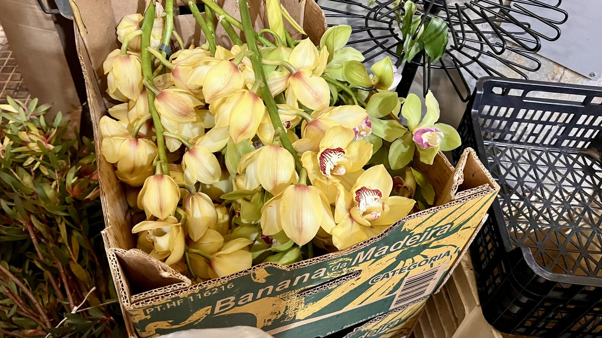 A bunch of pale yellow orchids in a cardboard box at the market.