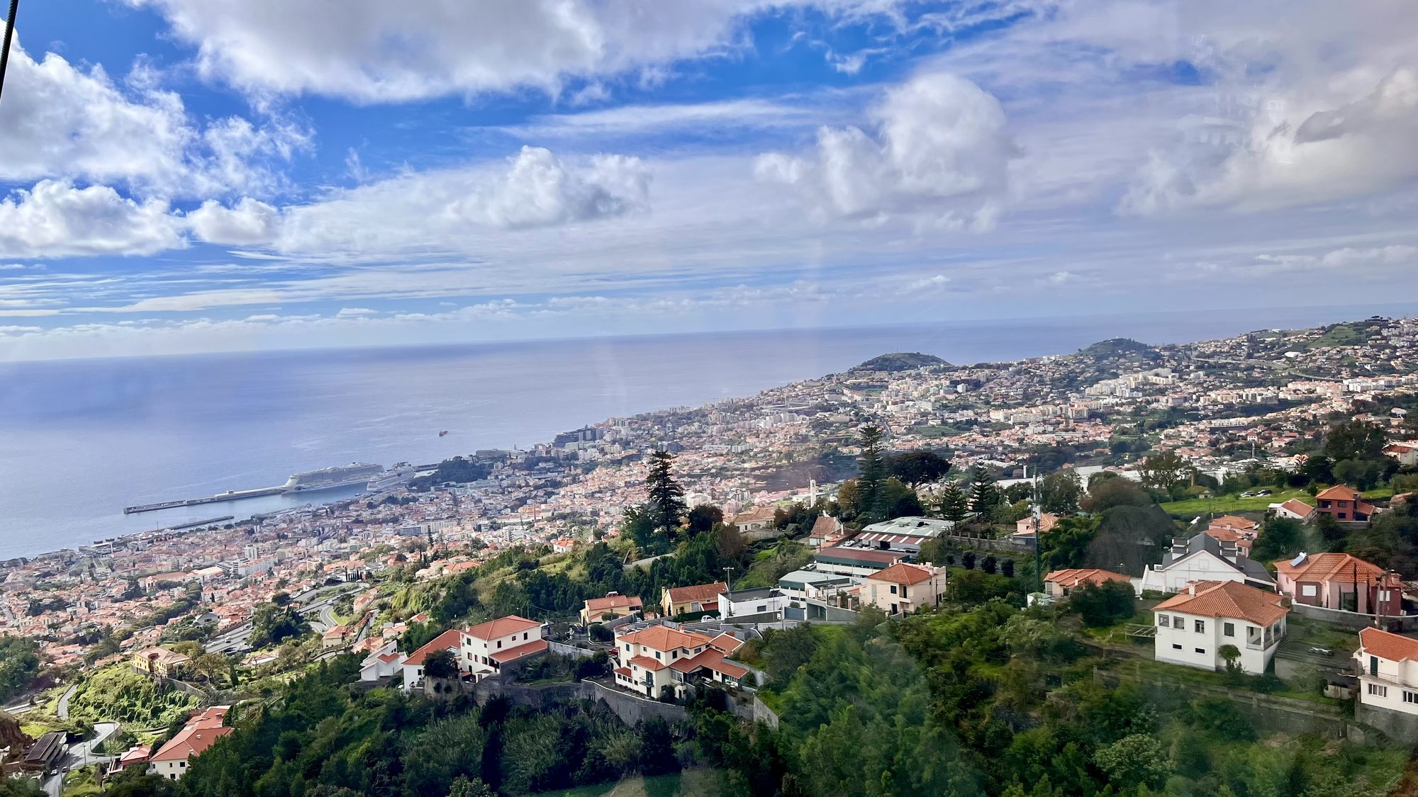 Funchal’s white houses and red roofs spreading down the hillside to the harbor, seen from the cable car.