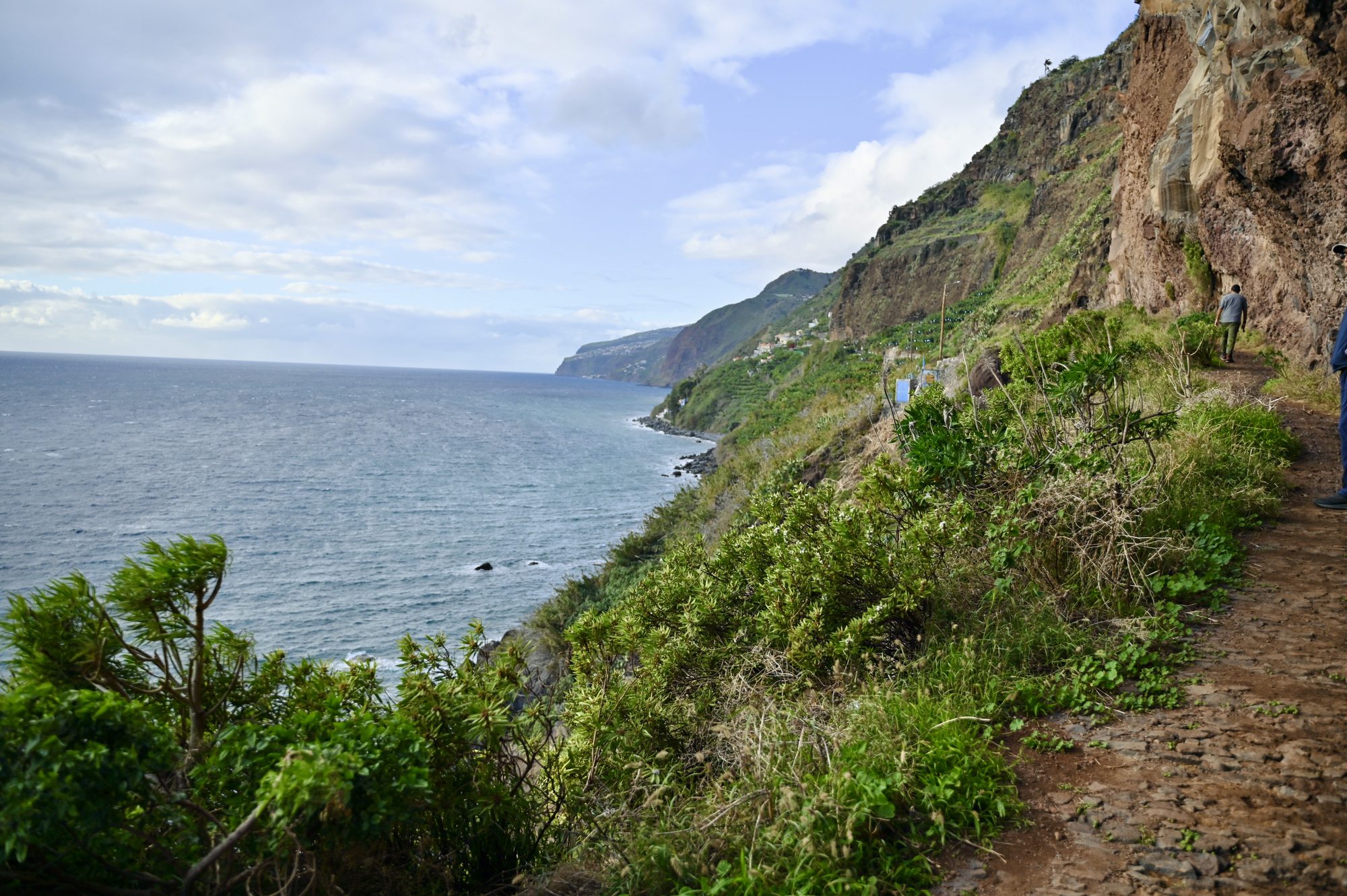 A dirt path running along a vegetated cliff above the sea, with the coastline stretching away into the distance.