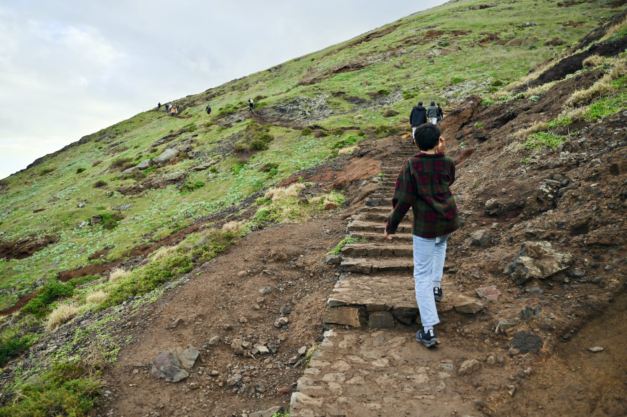 Our son climbing rough stone steps up a grassy hillside on the trail.
