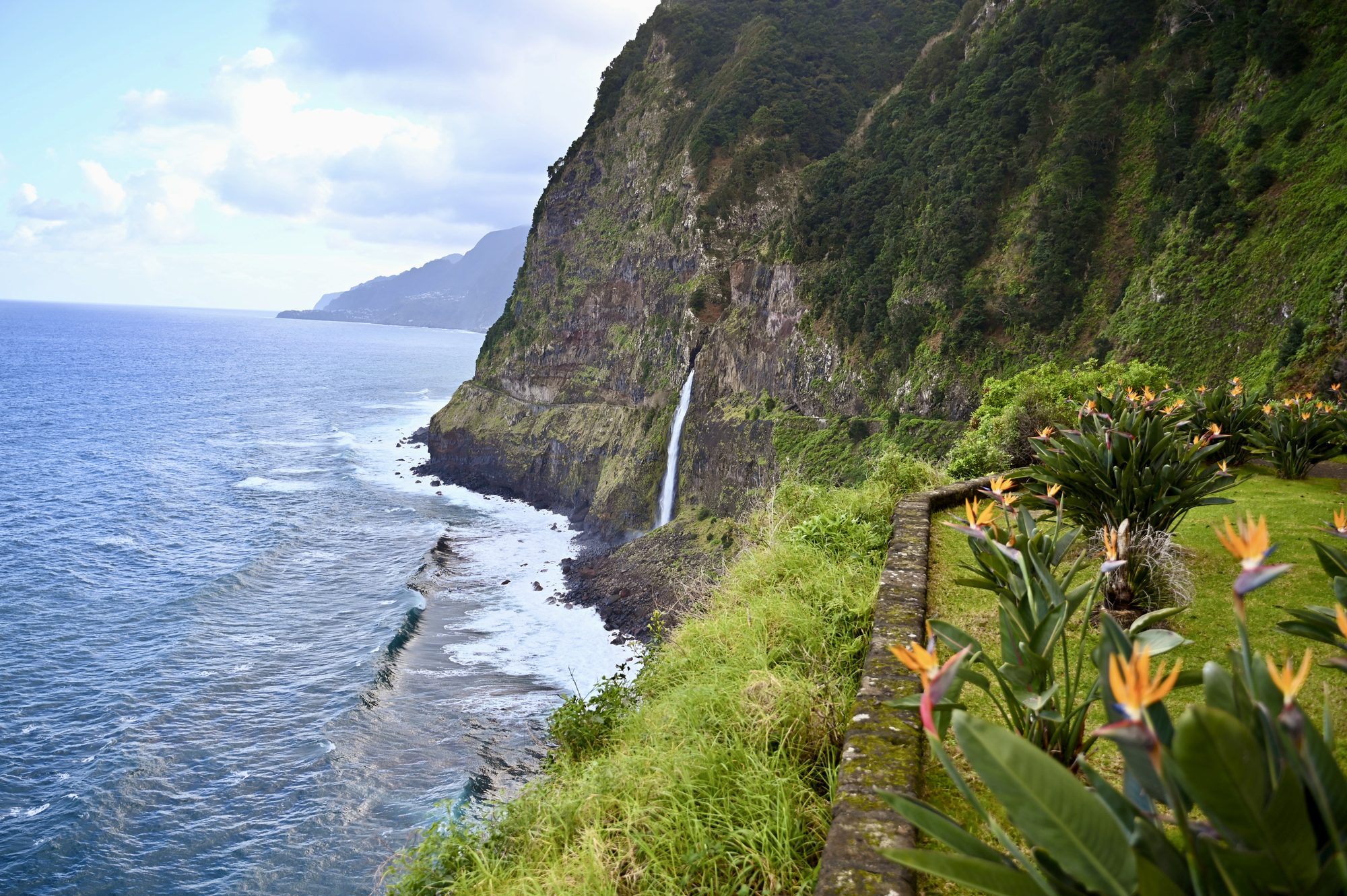 A thin waterfall falling down a green sea cliff into the waves, with orange bird-of-paradise flowers in the foreground.