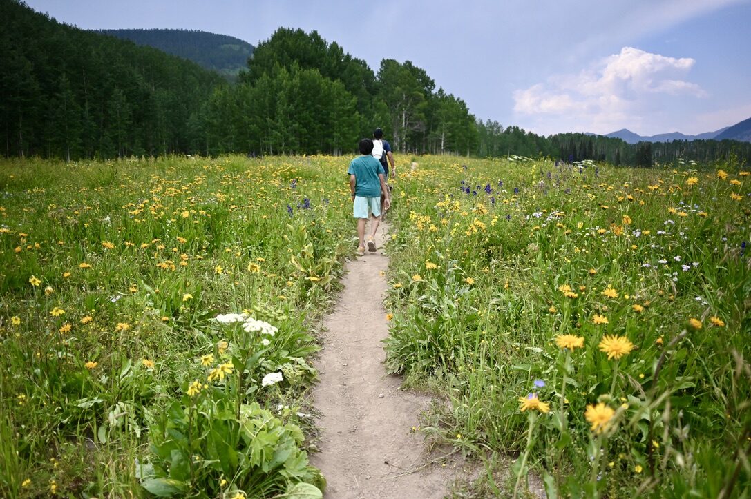 Boy walking a narrow path through a meadow full of yellow wildflowers