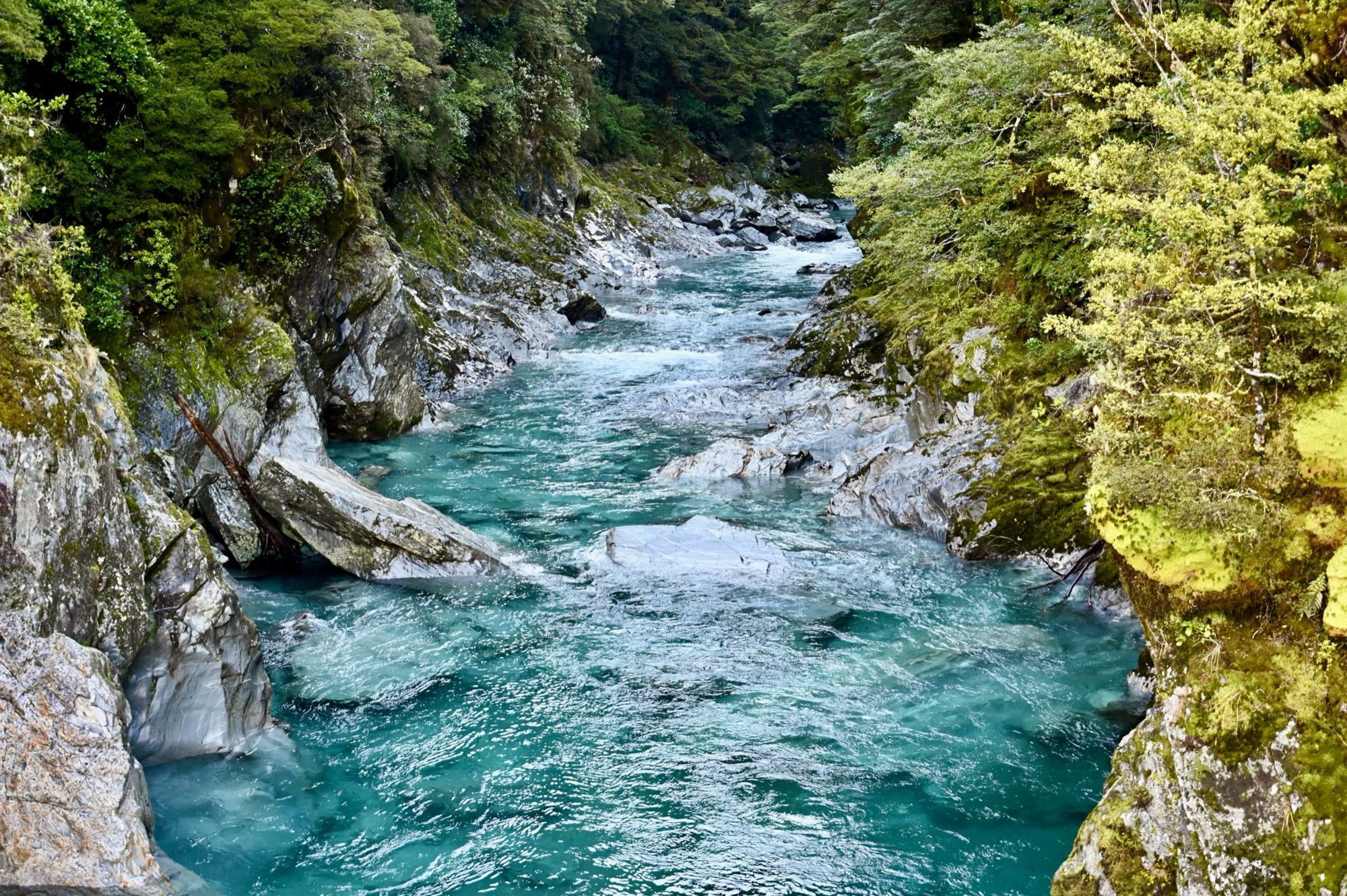 Bright turquoise water rushing between grey boulders in a forested gorge.