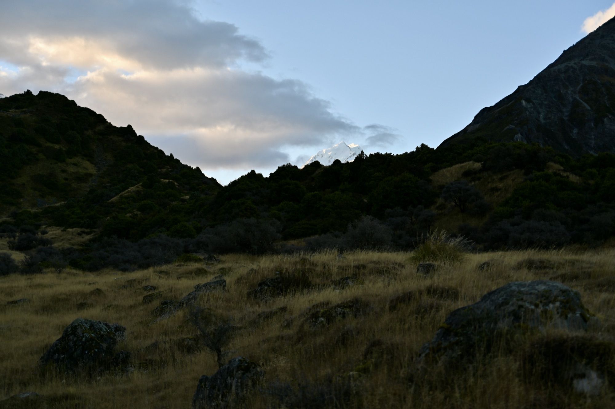 A dark ridge of tussock and rock at dusk, with the snowy tip of Aoraki/Mount Cook just visible behind it.