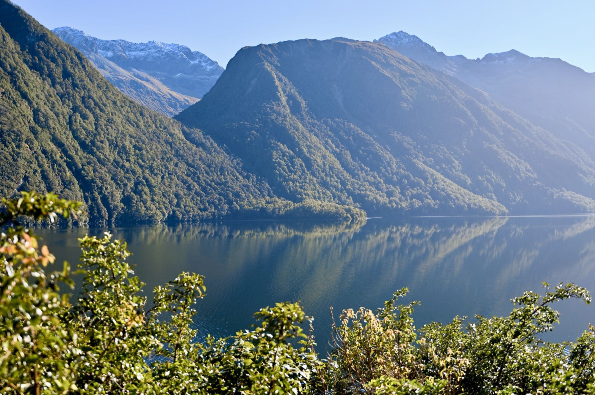 Forested mountains reflected in the still water of Lake Gunn, with green bush in the foreground.