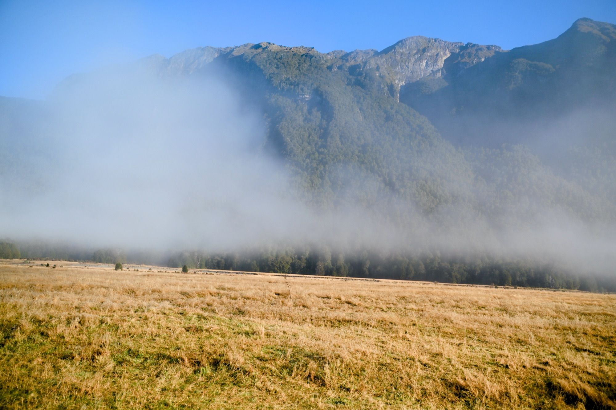 Mist drifting across the foot of forested mountains above a wide, golden grassy valley.